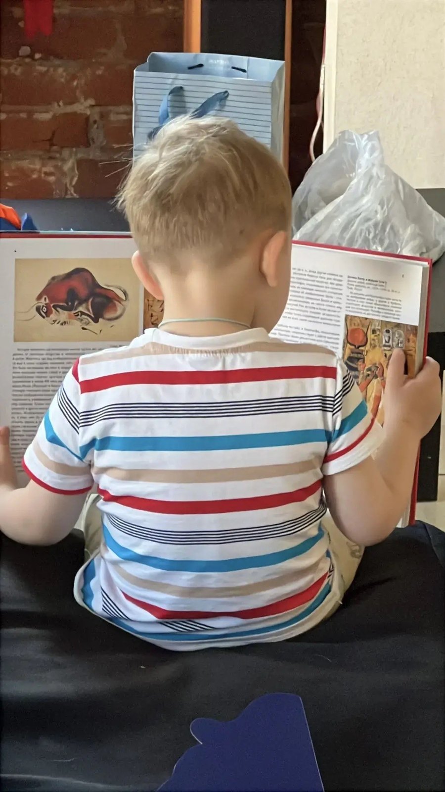 Мирон читает большую книгу